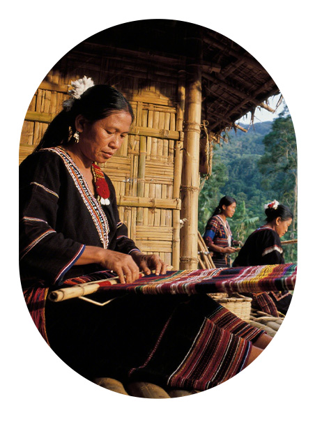Indigenous culture